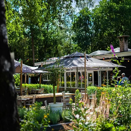 Nature Park In Hoenderloo