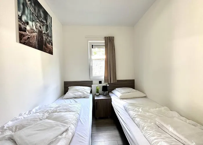 Nature Park In Hoenderloo