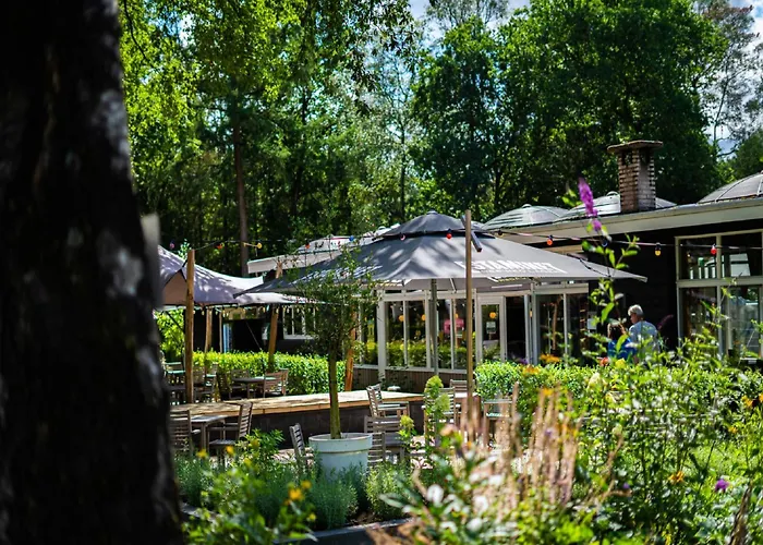 Nature Park In Hoenderloo