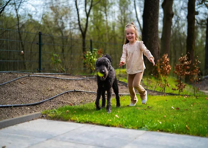 Nature Park In Hoenderloo